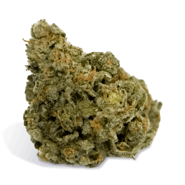 Exotic Gas