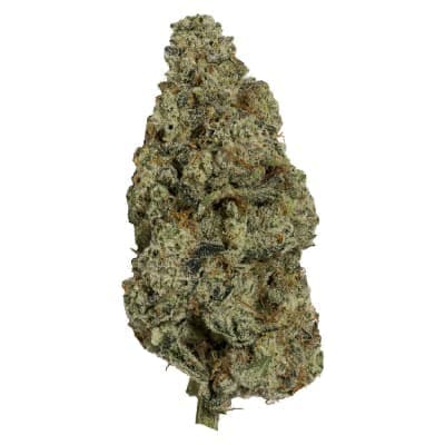 Carmel - Kush Life - - Dried Flower