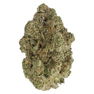 Back Forty - Fire Breath - - Dried Flower