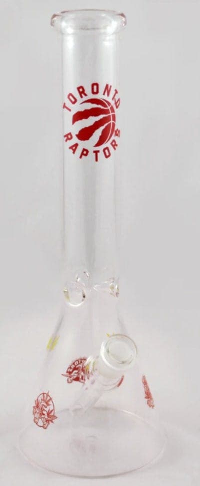 12 INCH 5MM RAPTORS BEAKER BONG