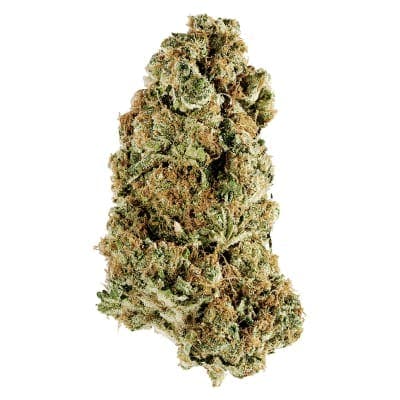 Redecan - Animal Rntz - - Dried Flower