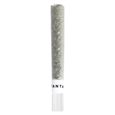 Tantalus - Pacific OG Glass Tip Pre-Roll - 1x1g - Pre-Rolls