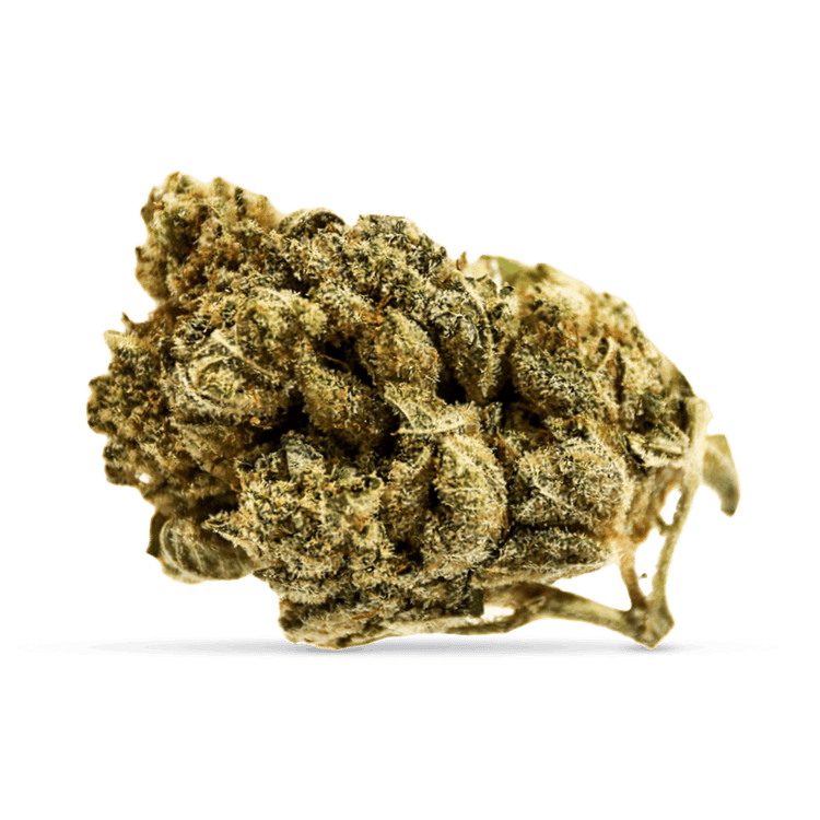 Banana Cream