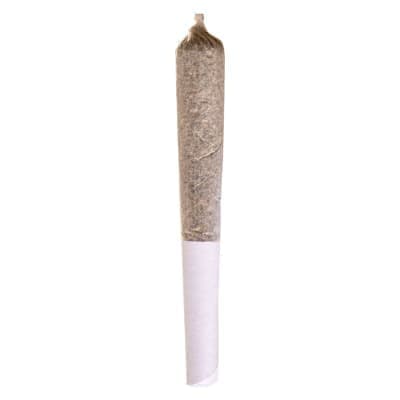 Potluck - Maple Pancakes - 1x0.5g - Pre-Rolls