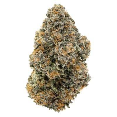 1964 - Organic Gelato #41 - - Dried Flower
