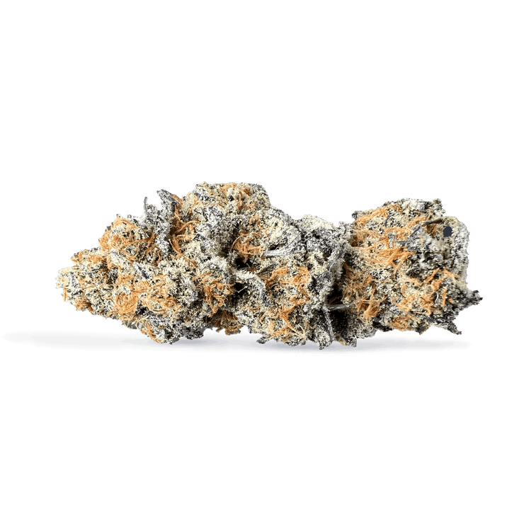 Cactus Breath