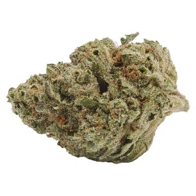 Back Forty - Liquid Imagination - - Dried Flower