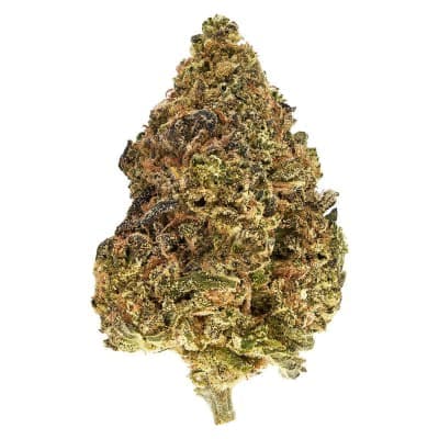 3Saints - Skullcap - - Dried Flower