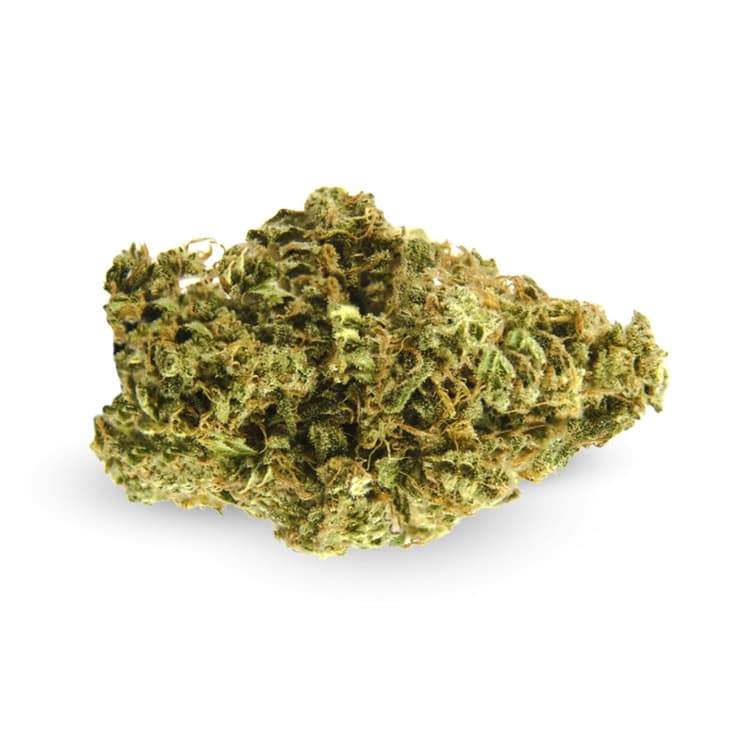 Sour Kush