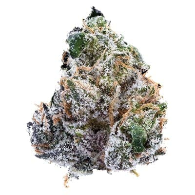 Nugz - Guava Jam - - Dried Flower