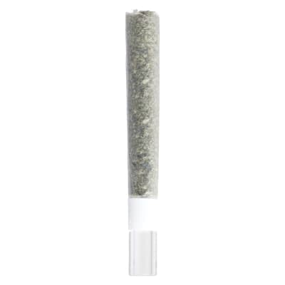 3rd Coast Genetics - Pure Michigan Glass Tip Pre-Roll - 1x1g - Pre-Rolls