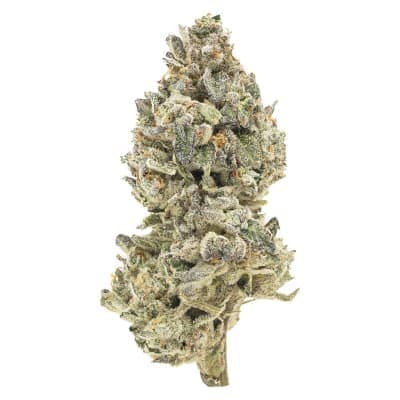 Simply Bare - BC Organic Pineapple Sour - - Dried Flower