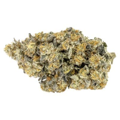 Woody Nelson - Glade Runner Craft Flower - - Dried Flower