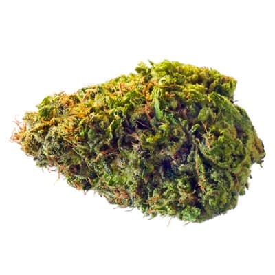 Redecan - Violet Fog - - Dried Flower