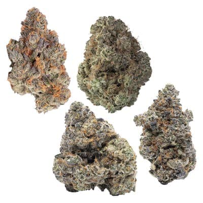 Cookies - 4 Cultivar Flower Pack - - Dried Flower