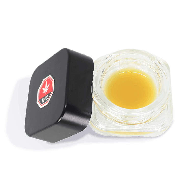 Live Rosin Parfait GVB | 1g