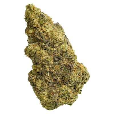 True Fire - Lemon Frost - - Dried Flower
