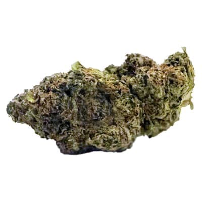MTL Cannabis - East Coast Dank'z - - Dried Flower