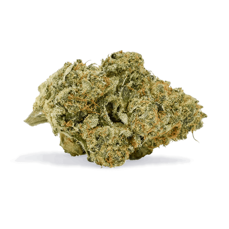 Mmmosa Evo