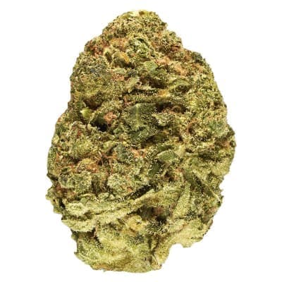 Good Supply - Melon Dream - - Dried Flower