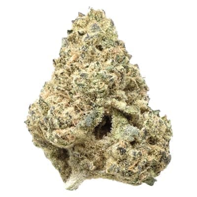 Snicklefritz - Indica - - Dried Flower