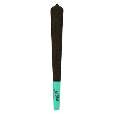 Boxhot - Two Four - 24x0.5g - Pre-Rolls
