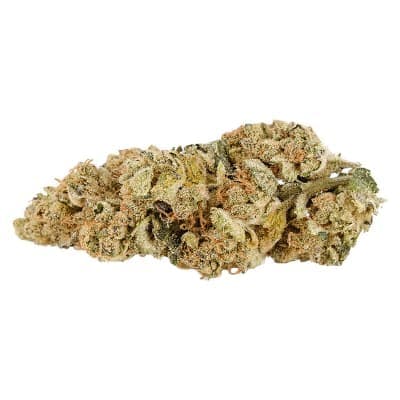 Back Forty - Wedding Pie - - Dried Flower