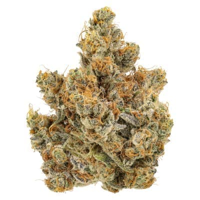 Cheers Cannabis - Key Lime Pie - - Dried Flower