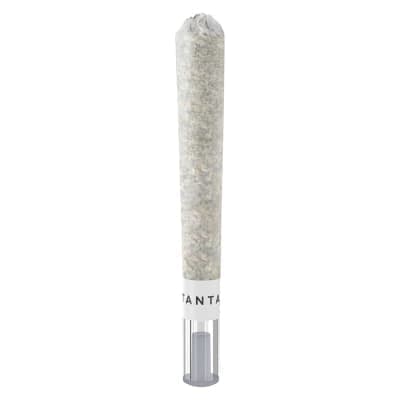Tantalus - OG Platinum Mints Glass Tip Pre-Roll - 1x1g - Pre-Rolls