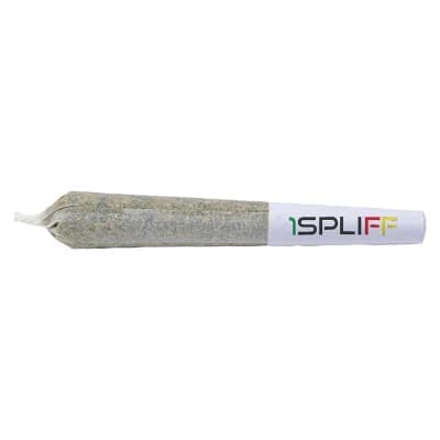 1Spliff - Orange Rntz - 7x0.5g - Pre-Rolls
