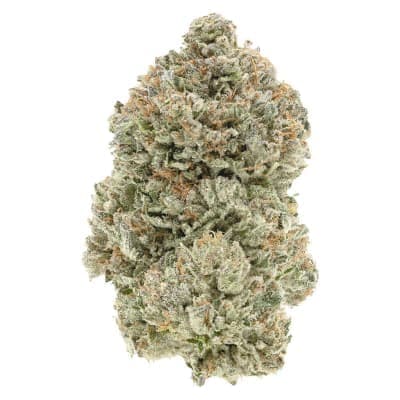 1964 - Stinky Pinky - - Dried Flower
