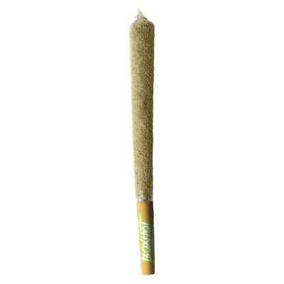 BoxHot - Dusties XL Retro Orange Blast Kief-Coated Infused Pre-Roll - 1x1.2g - Distillates