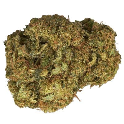 Color - Mango Haze Sativa - - Dried Flower