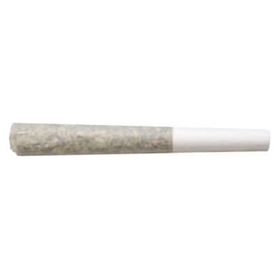 Truro - Titanimal Bubble Infused Pre-Roll - 1x0.5g - Hash and Kief