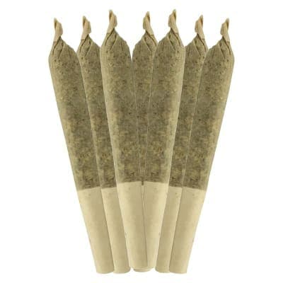 Sheeesh! Everyday - Dia De Los Muertos - 7x0.5g - Pre-Rolls