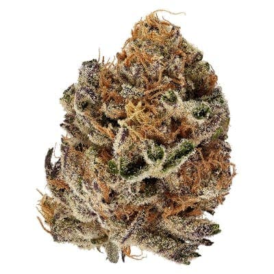 3Saints - Crumbled Lime - - Dried Flower