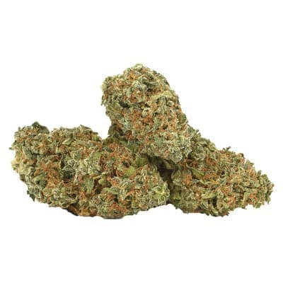 Ness - Grape Octane - - Dried Flower