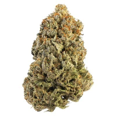 Bud Lafleur - Booberry Cookies - - Dried Flower