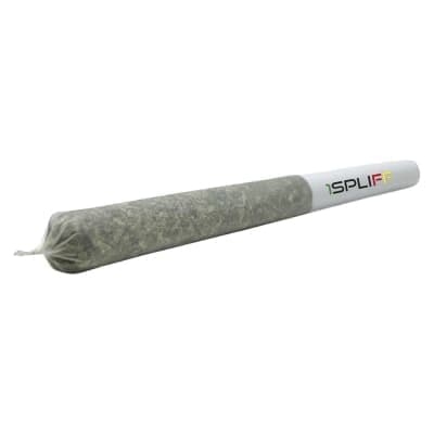 1Spliff - Pink Lemonade Pre-Roll - 3x0.5g - Pre-Rolls
