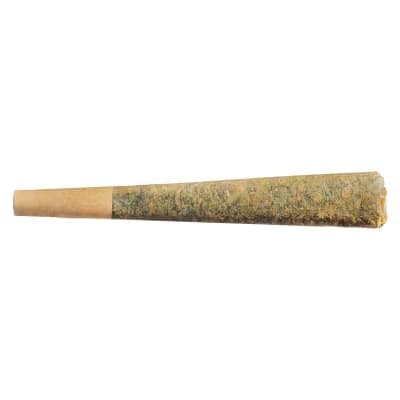 Fuego - Tropic Haze - 1x0.5g - Pre-Rolls