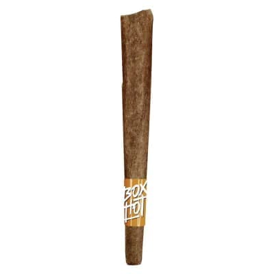 BOXHOT Fatties - Peach OG Infused Blunt - 1x1g - Distillates