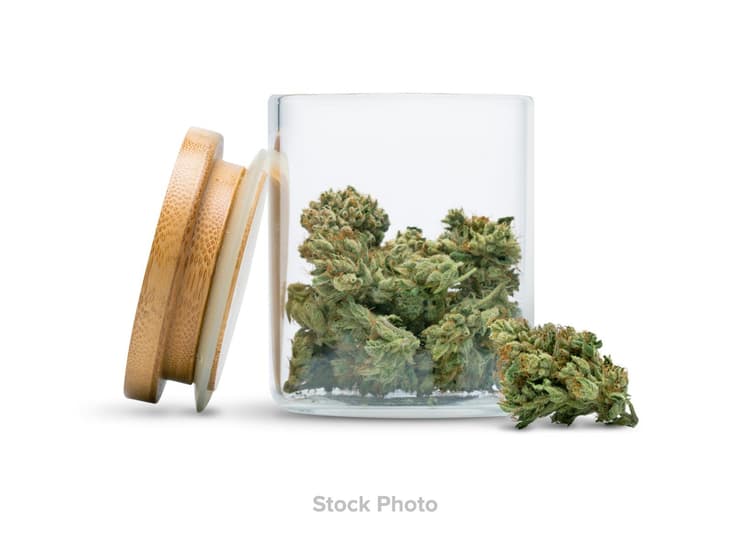 Blk Mkt - Rainbow P - - Dried Flower
