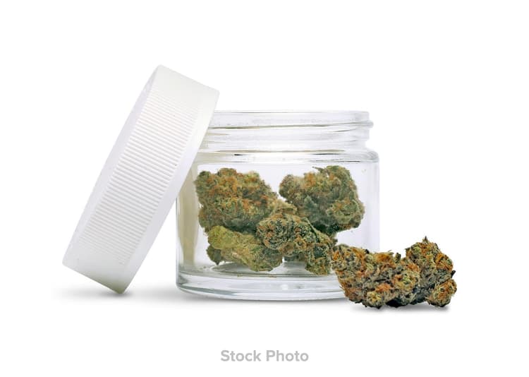 Tenzo - Cocoa Delight Infused Blunt - 1x1g - Distillates