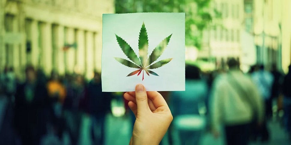 The Future of Cannabis: Trends and Innovations to Watch Out For