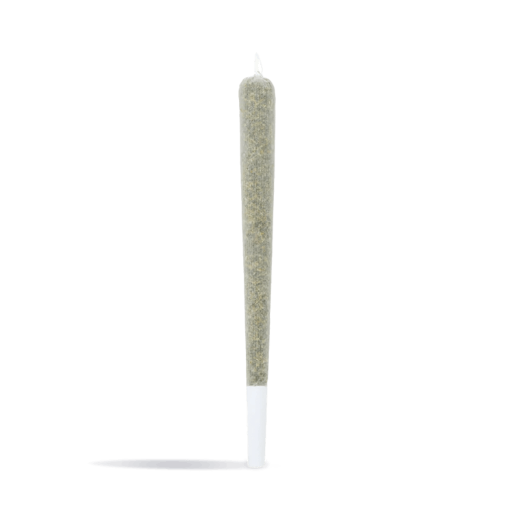 Supercharged Joint | 2g