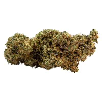 Redecan - King Sherb - - Dried Flower