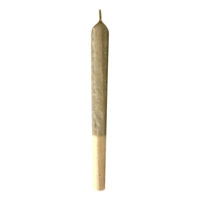 MTL Cannabis - Jungl' Cake - 3x0.5g - Pre-Rolls